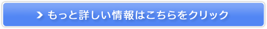 ���v���C�Y890�~���j�^�[�L�����y�[��
�̔��T�C�g��